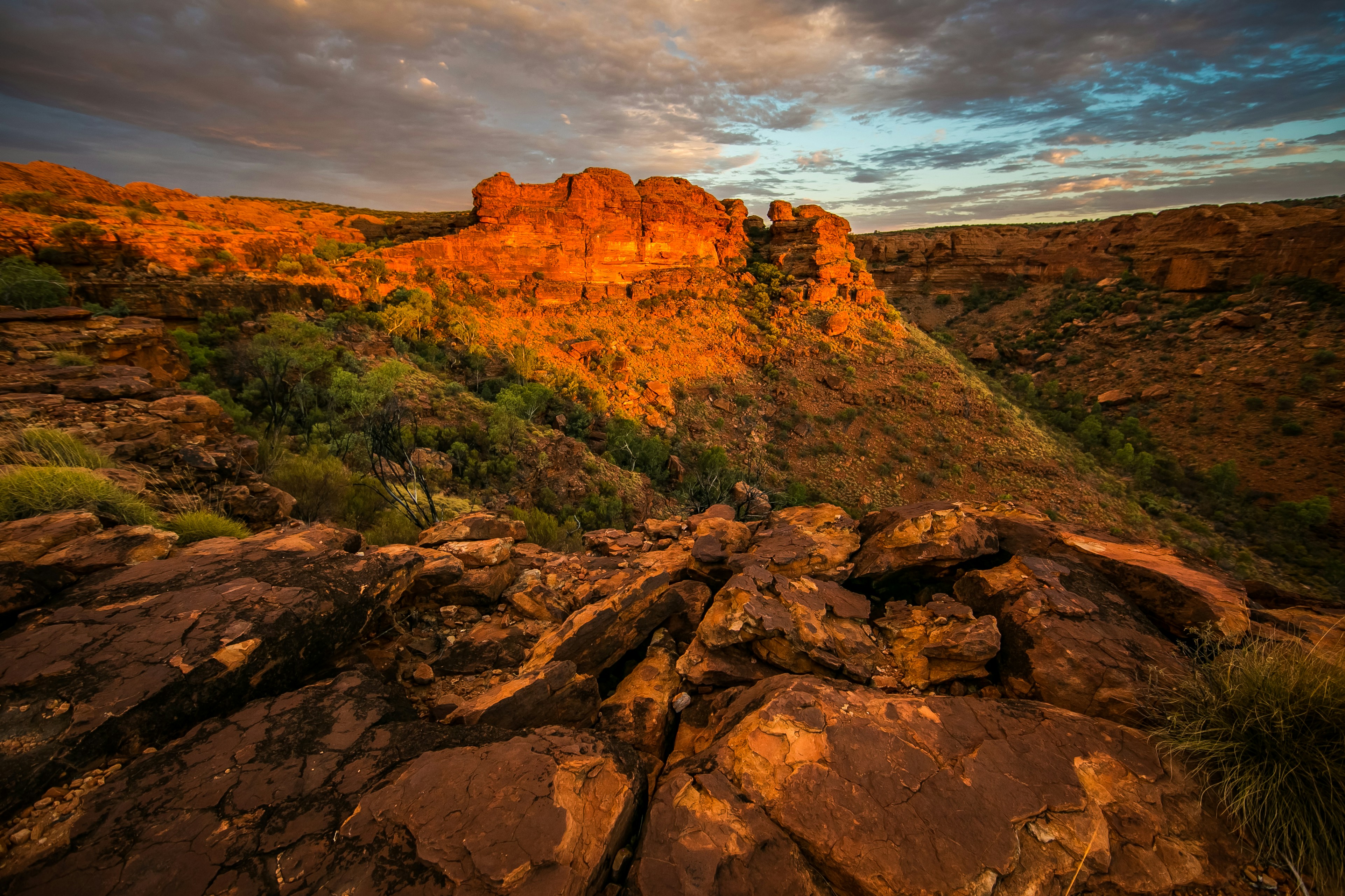 Watarrka (Kings Canyon), Petermann, NT