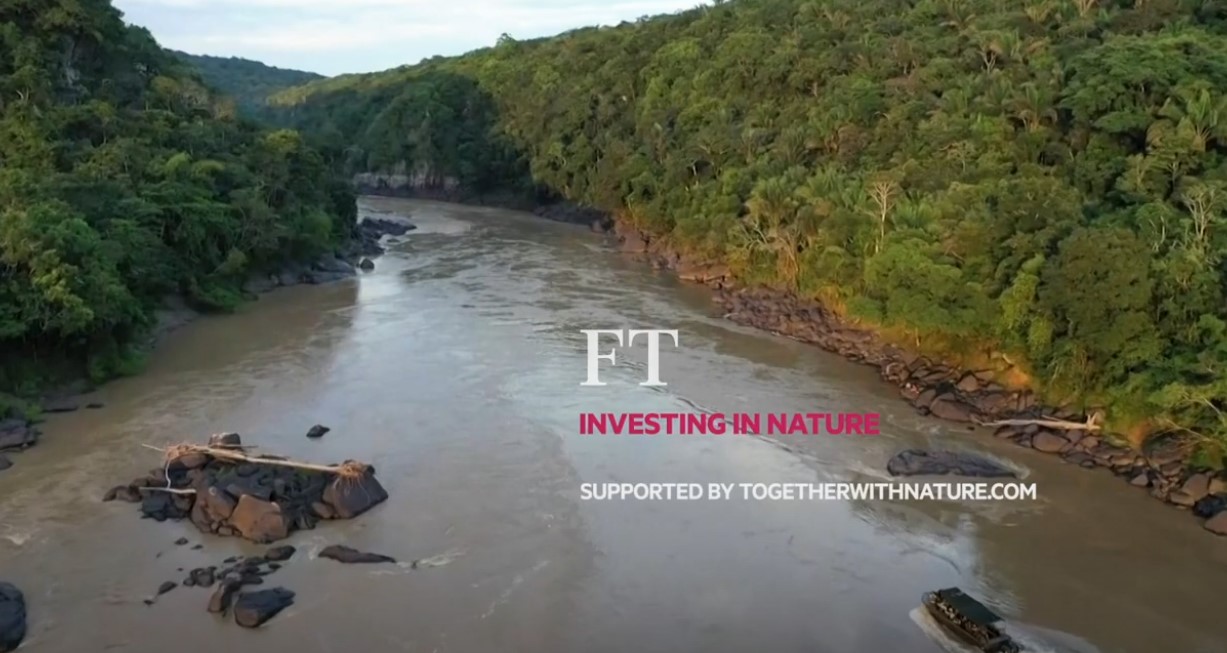 The Financial Times' Investing in Nature - a river banked by forest.