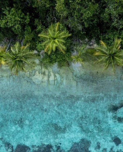 Palm trees, white sand and clear crystal blue water.