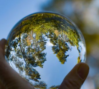 A glass ball being held in the palm of a hand, with a forest reflected and inverted within it
