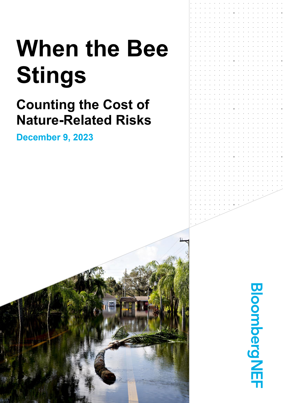 Cover of When the Bee Stings resource