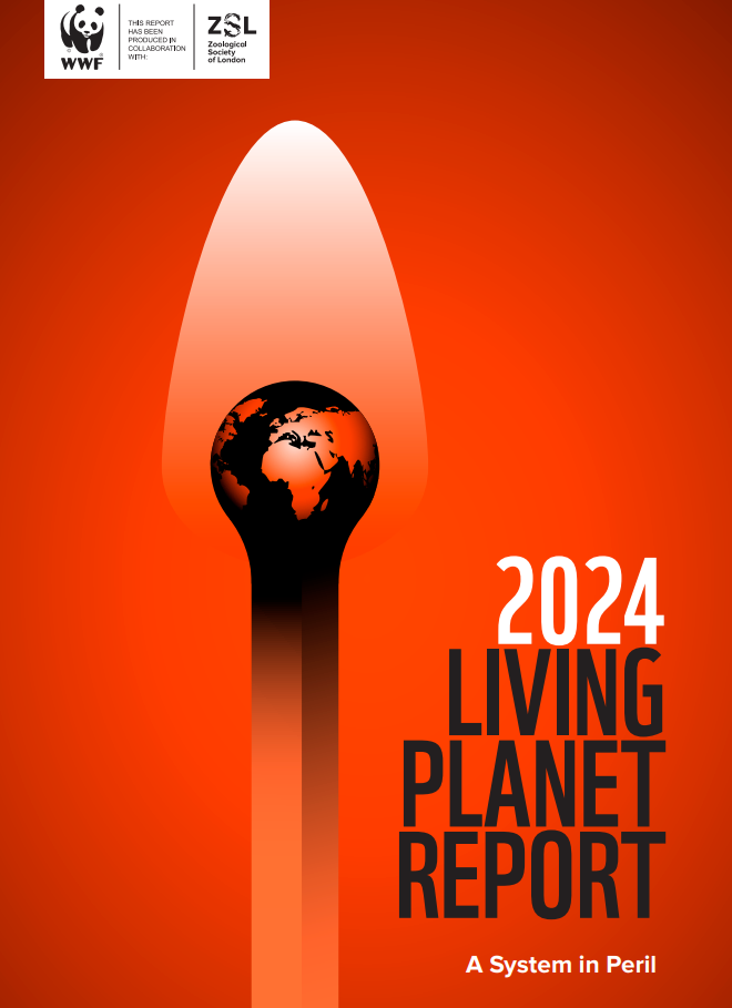 Cover of the Living Planet Report depicting the planet as the head of a flaming match