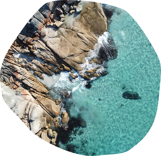 Aerial view of a beach