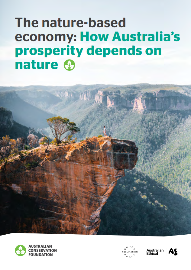 Report cover featuring a person standing on a sandstone escarpment over a valley