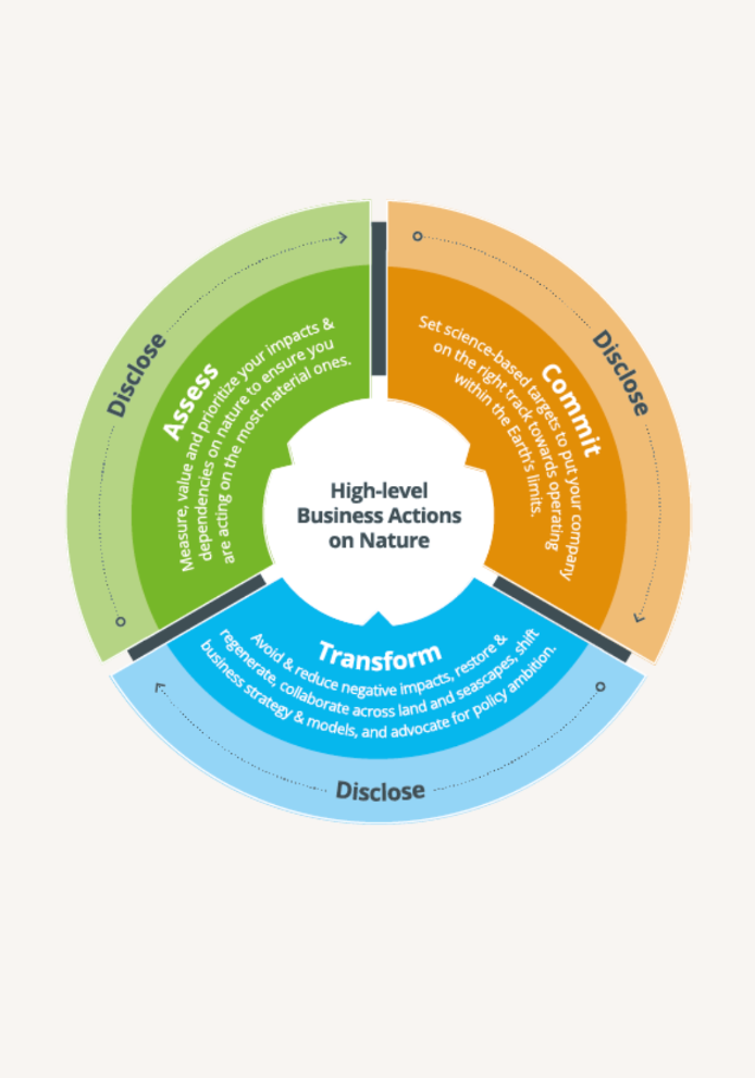 ACT-D framework image