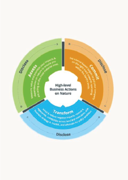 ACT-D Framework image