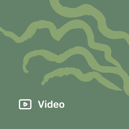 Viveo resource placeholder image
