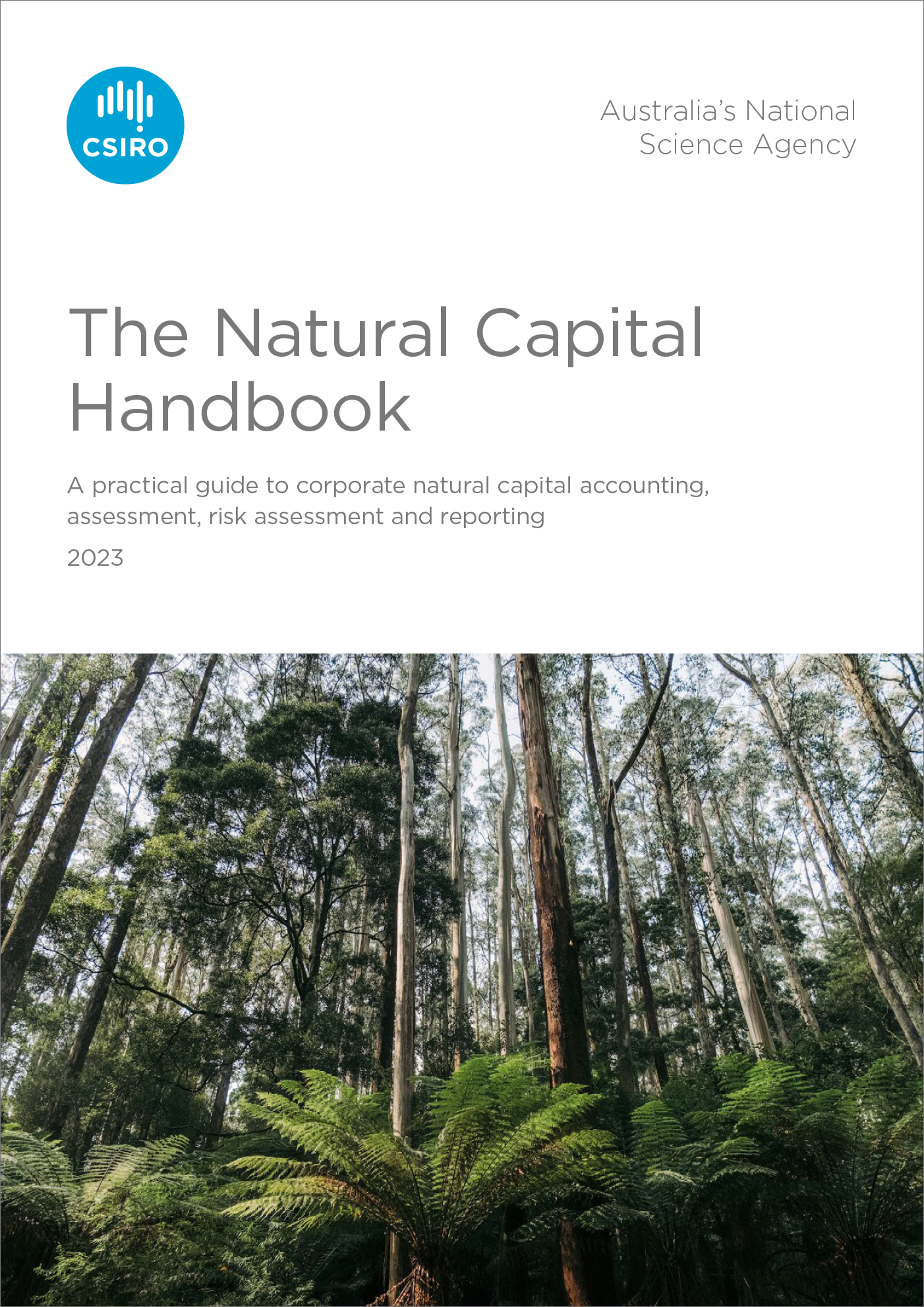 Front cover of handbook featuring a ground-up view of a eucalyptus forest