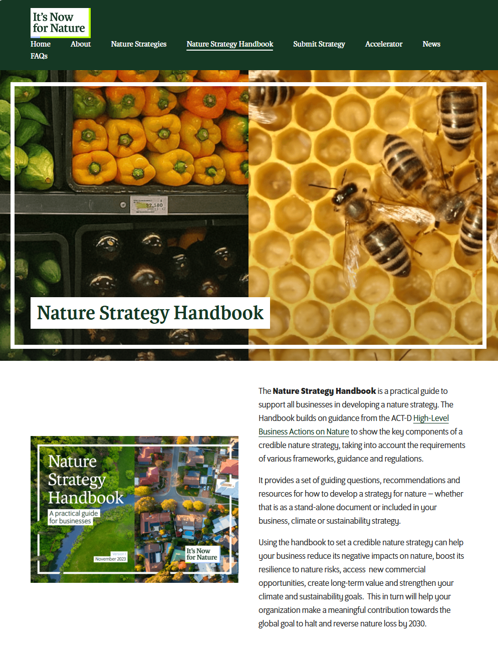 Nature Strategy handbook homepage