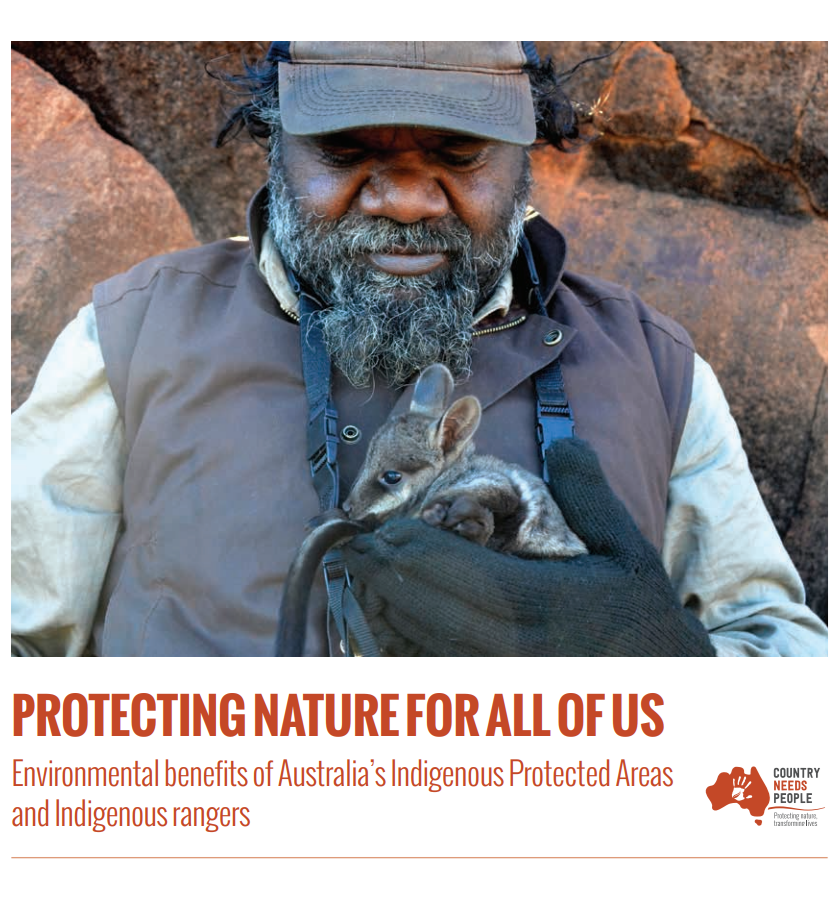 Warru Ranger with a warru, or black-footed rock wallaby, joey in a pouch