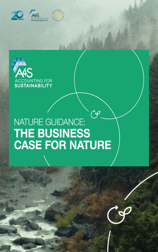 The report cover featuring title, author and interlocking circles in the shape of an infinite symbol superimposed over a mountain river