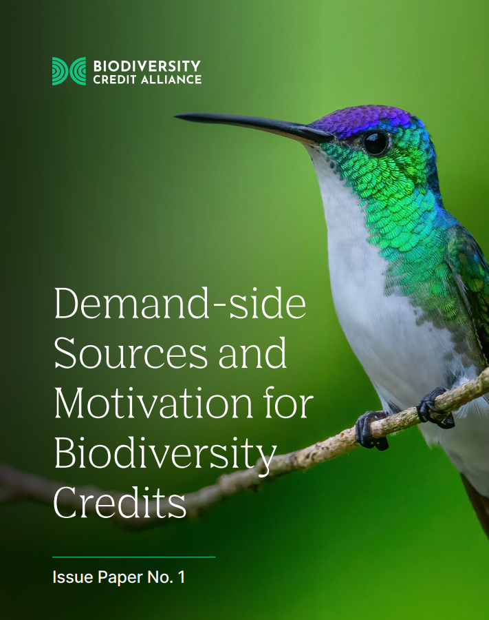 Report cover featuring hummingbird