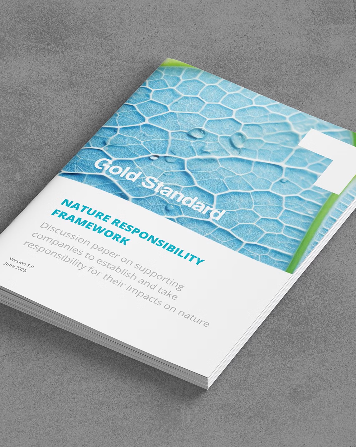 Photograph of report booklet on table