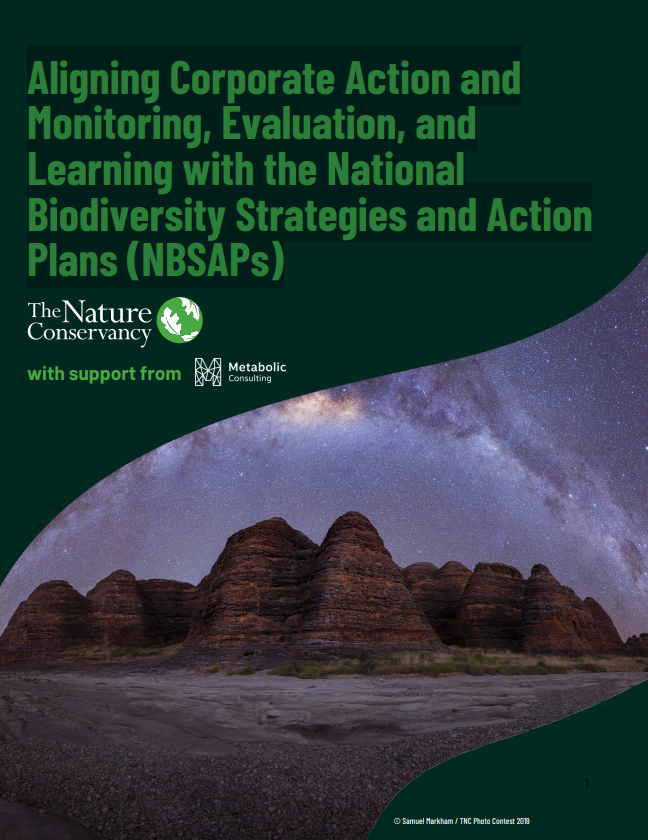 Front cover of report featuring starry sky above desert cliffs