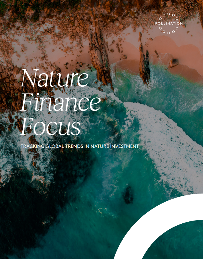 Report title over bird's eye view of a rocky coastal beach