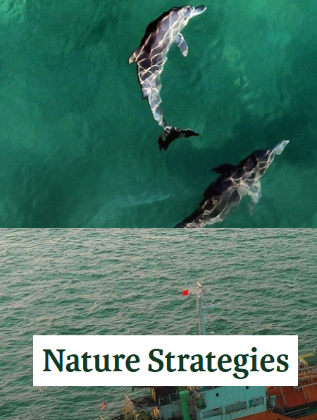 Composite image of container ships and dolphins