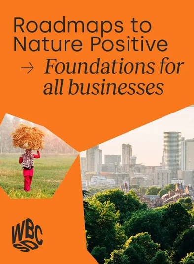 Cover of report featuring city, trees and woman carrying load on her head