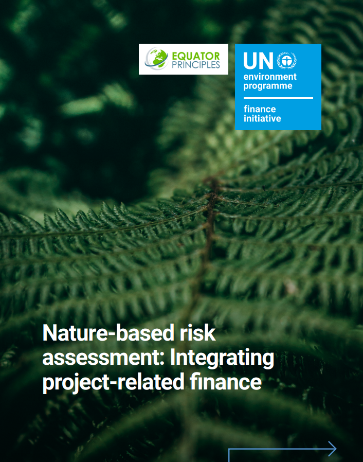 Macro close-up of a fern front with report title over the top