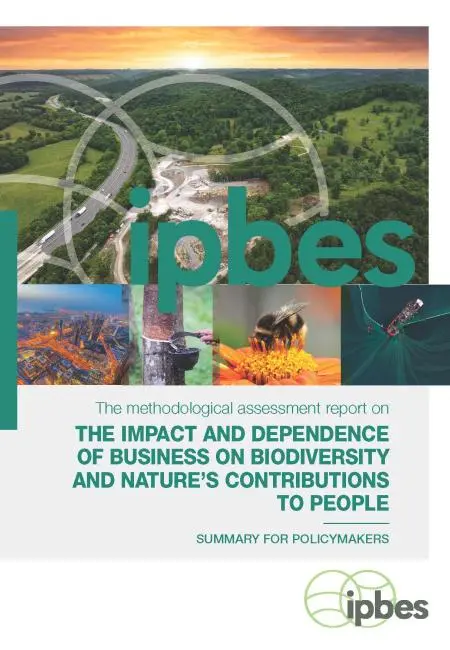 Report cover featuring title and collage of images of nature and society