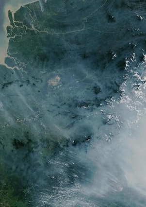 satellite view of forested nation