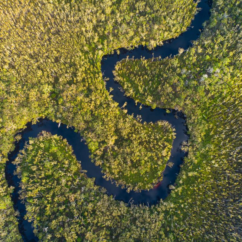 Australian landscape 