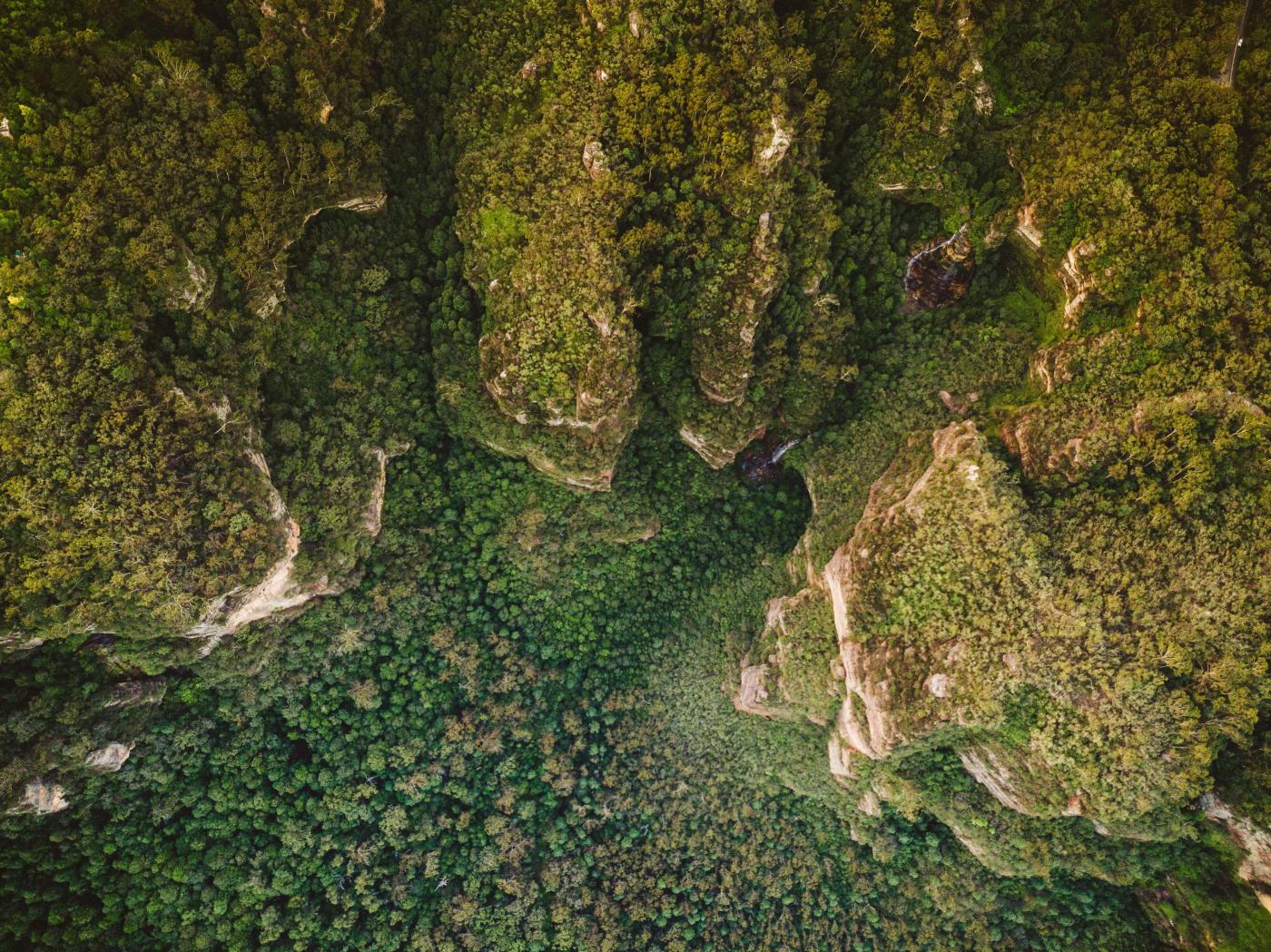Aerial view of tropics