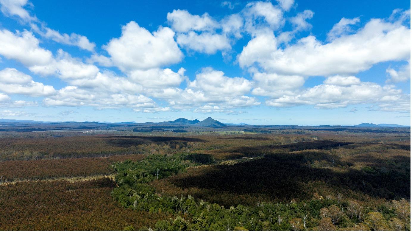 Blue sky with clouds, mountains in the distance and greenery in the foreground.